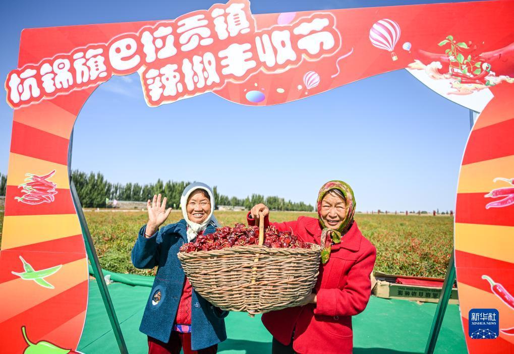 其乐老虎机网页